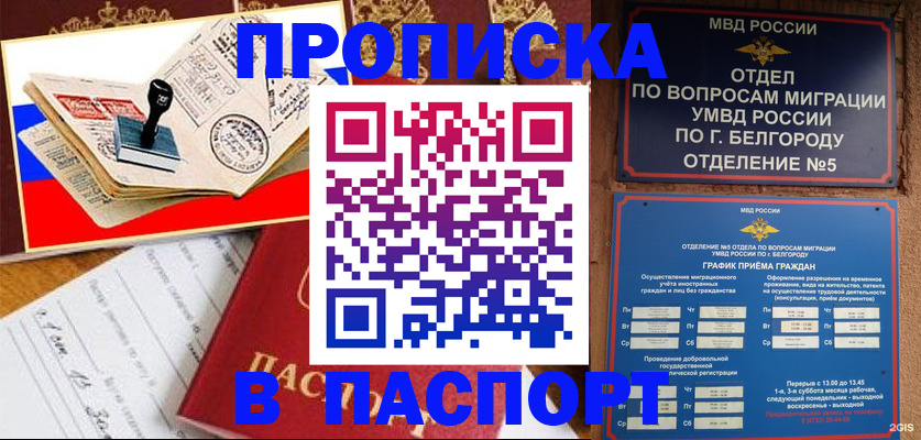 купить прописку в Дорогобуже